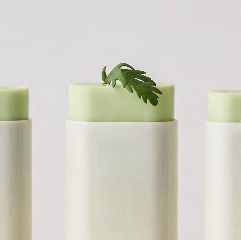 Beauty of Joseon Matte Sun Stick: Mugwort + Camelia SPF50+ PA++++
