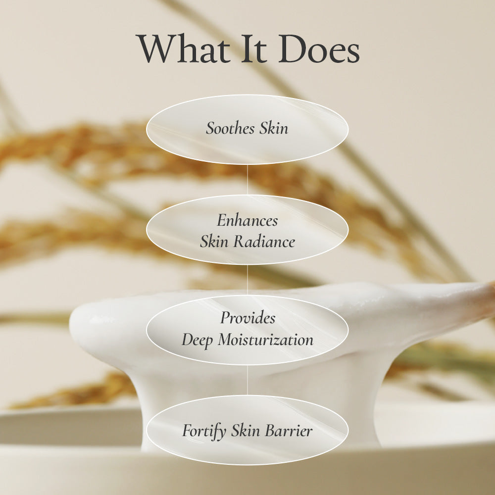 FULLY Rice-Dough Modeling Mask