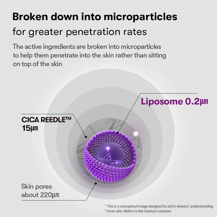 Infographic 5