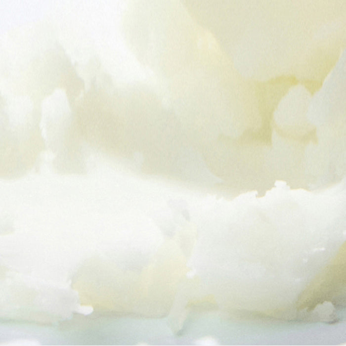 celimax Oil Control Mattifying Sun Stick SPF50+ PA++++