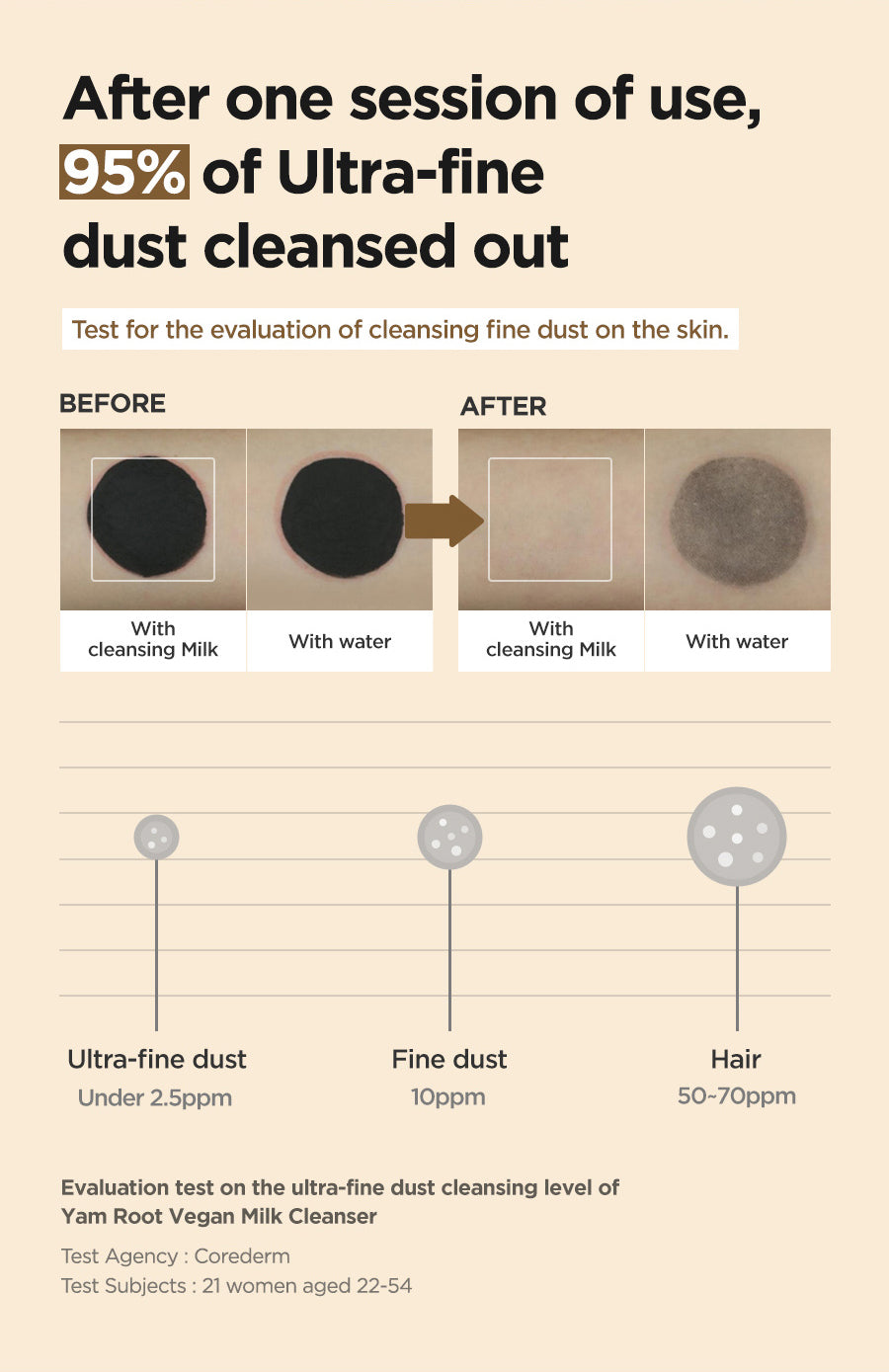Infographic 4