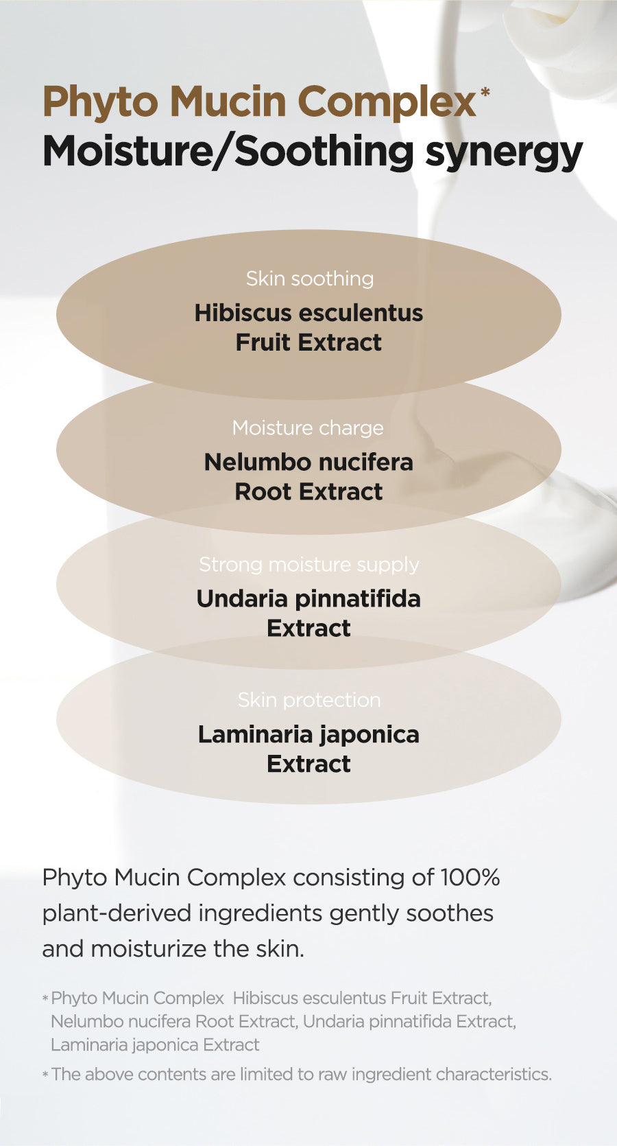 Infographic 5