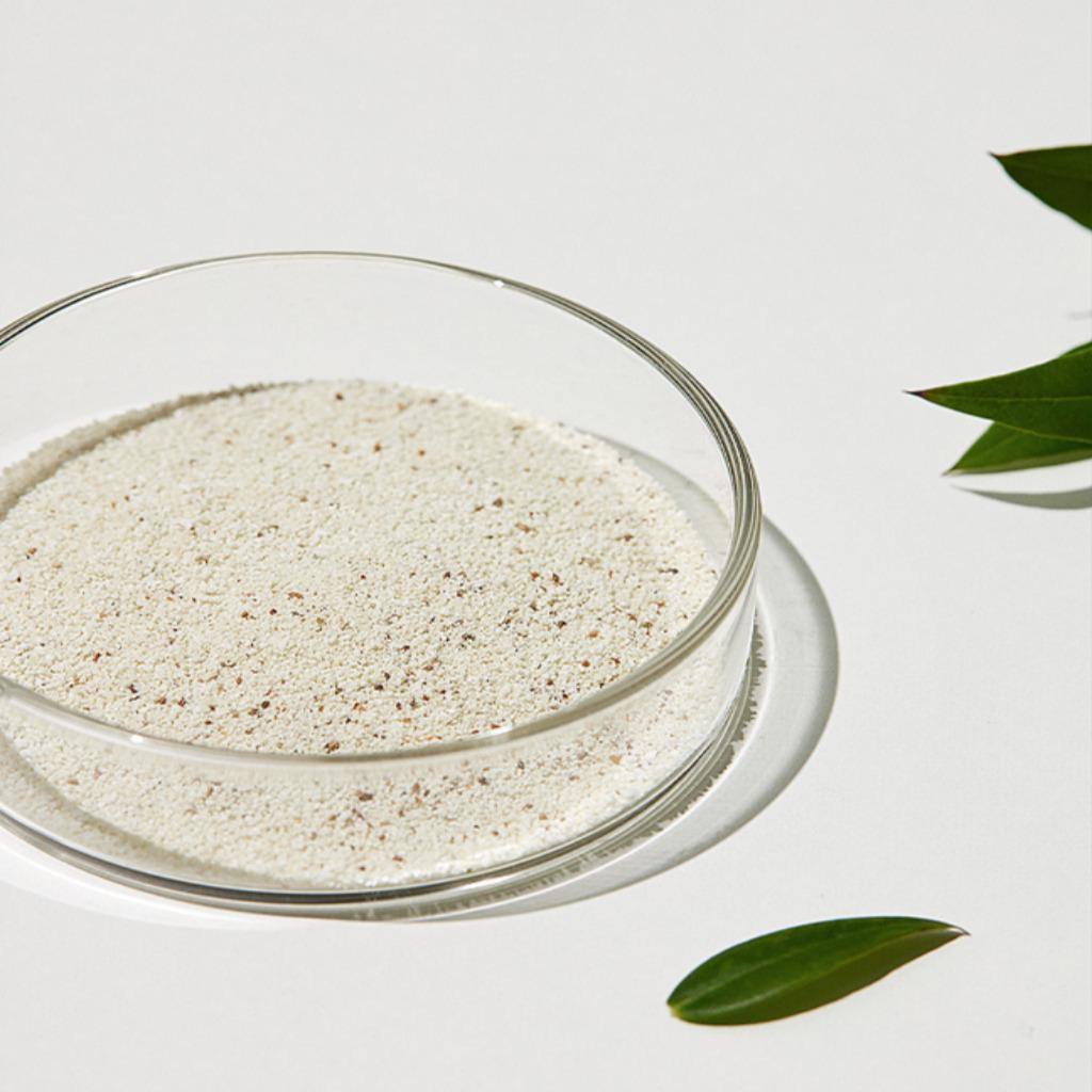 SUNGBOON EDITOR Green Tomato Deep Pore Clean Enzyme Powder Wash